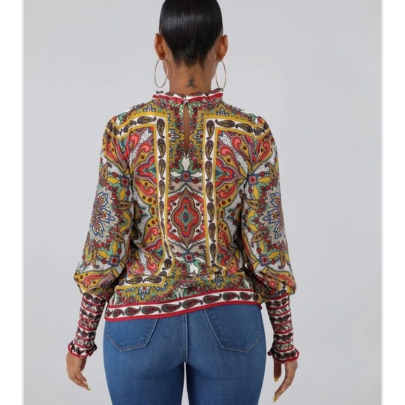 Multicolored Paisley Chiffon Blouse - Picture 2 of 5